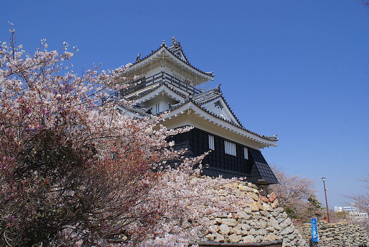 SONY DSC