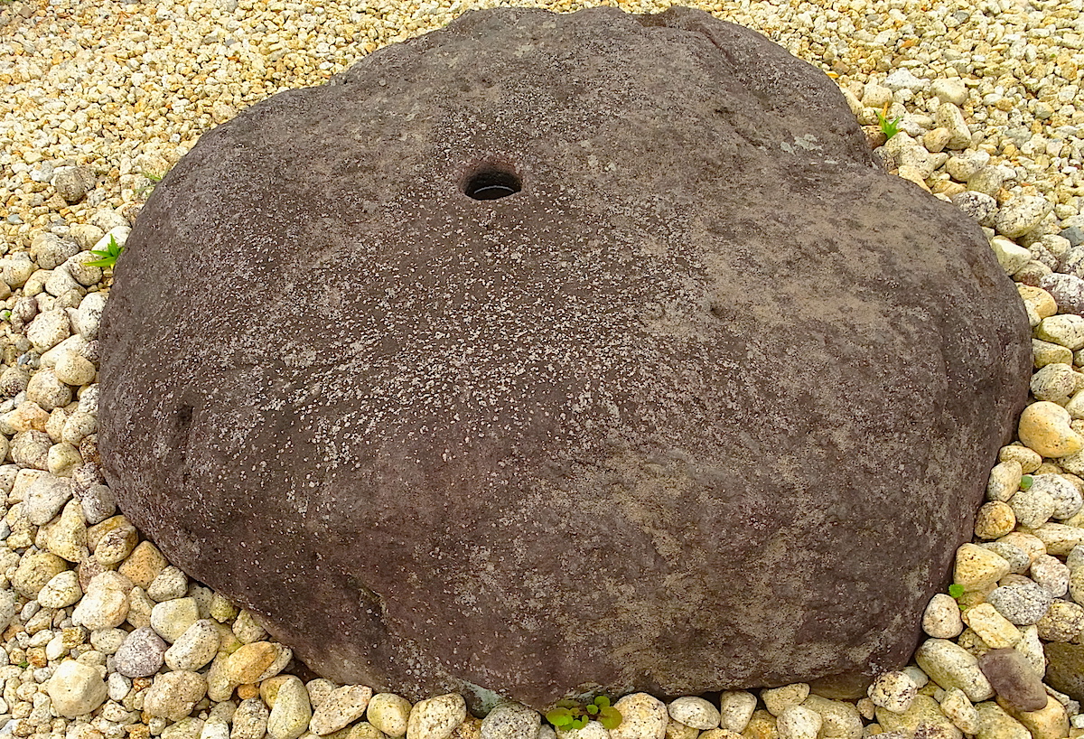 izukokubunzihozoana