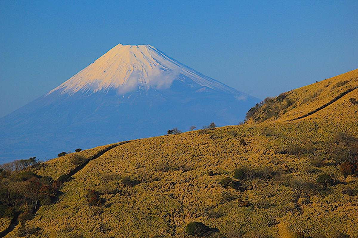 達磨山山頂から眺めた富士山
