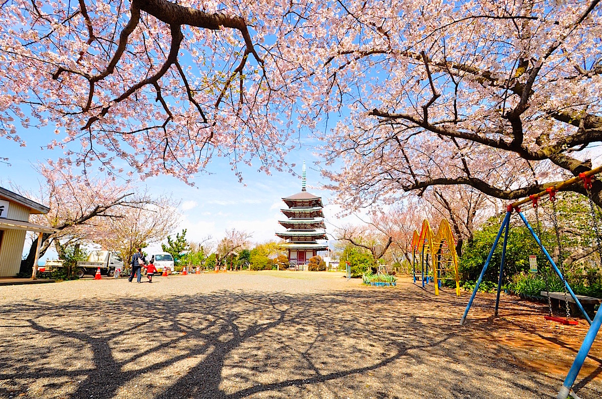 香貫山山頂部は公園になっていて春は桜の名所にも