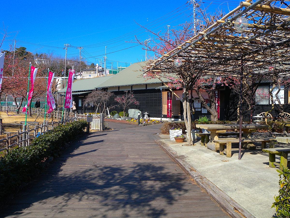 稲取・つるし雛