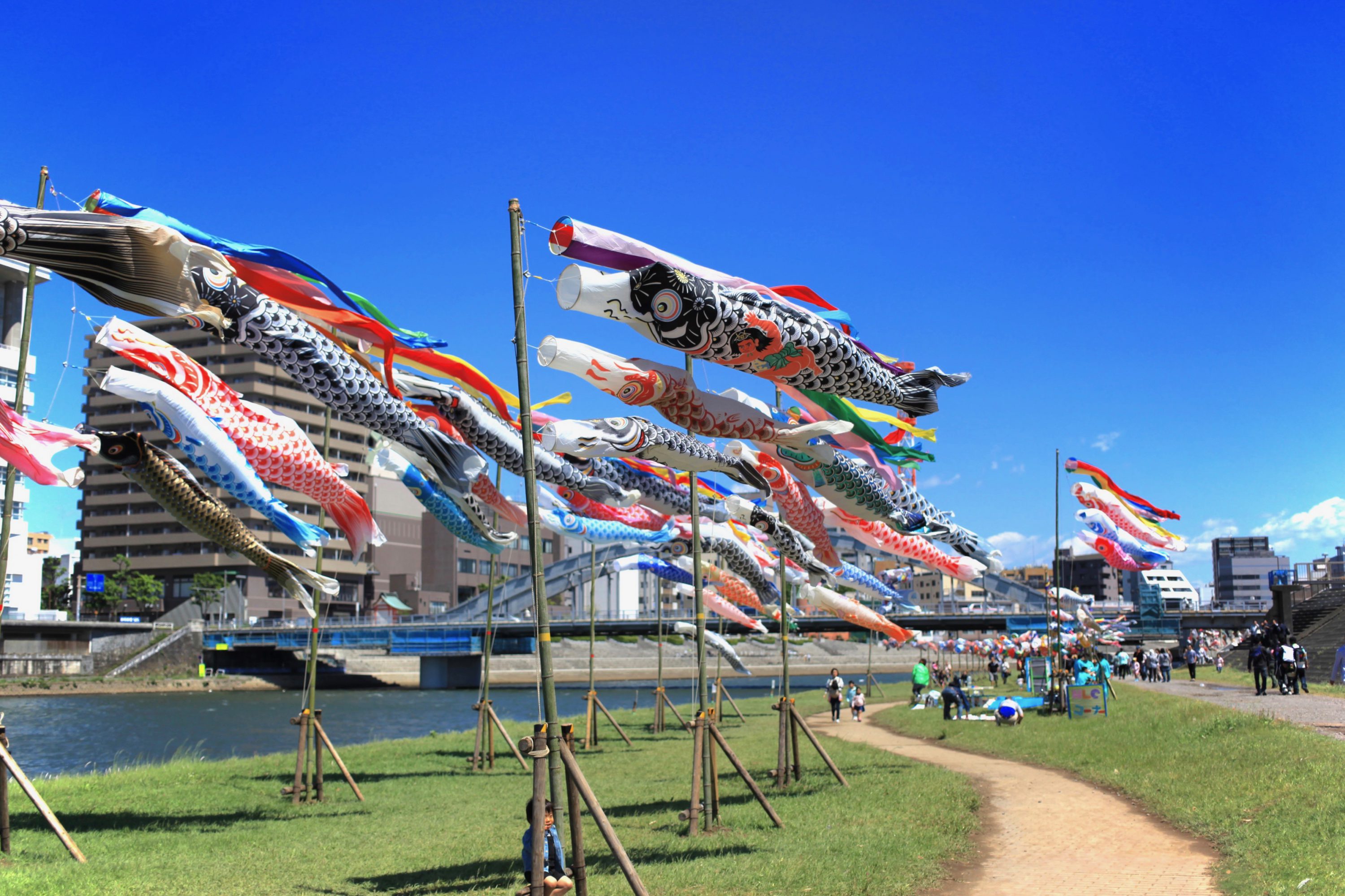 第41回こいのぼりフェスティバル｜沼津市｜2025 静岡・浜松・伊豆情報局
