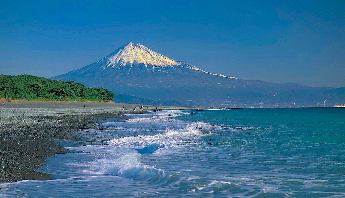 「一富士 二鷹 三茄子」は家康ゆかりの駿河の名産！ | 静岡・浜松・伊豆情報局