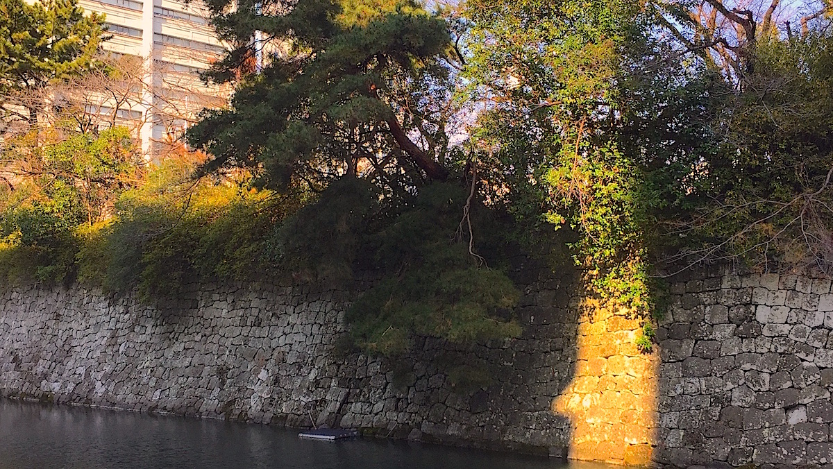 駿府城三ノ丸堀