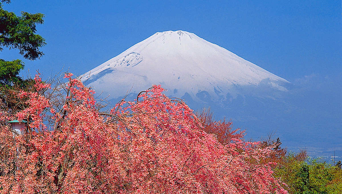 絶景！ 国道138号（平和公園・富士松天望台・ | 静岡・浜松・伊豆情報局