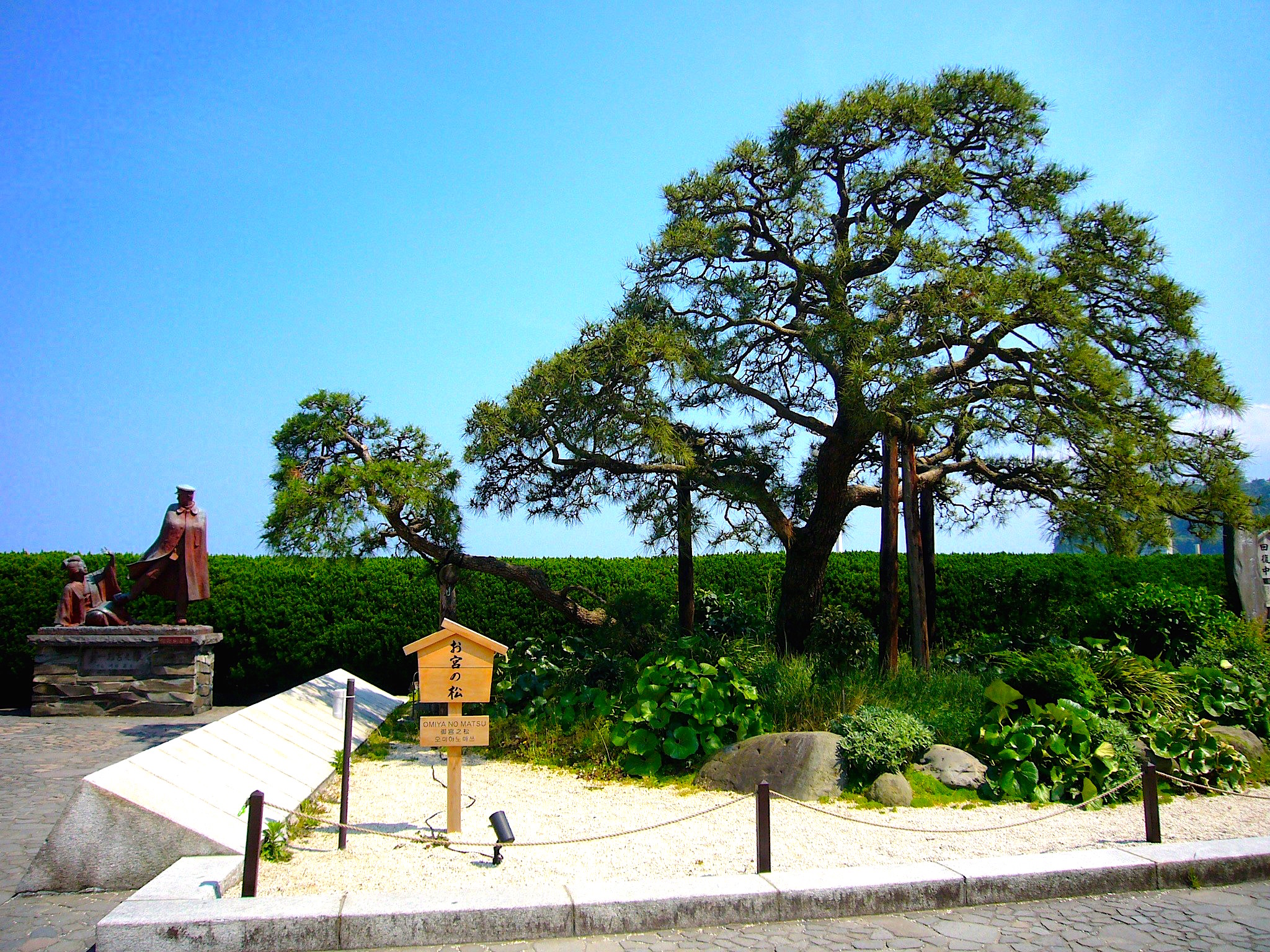 お宮の松 静岡 浜松 伊豆情報局