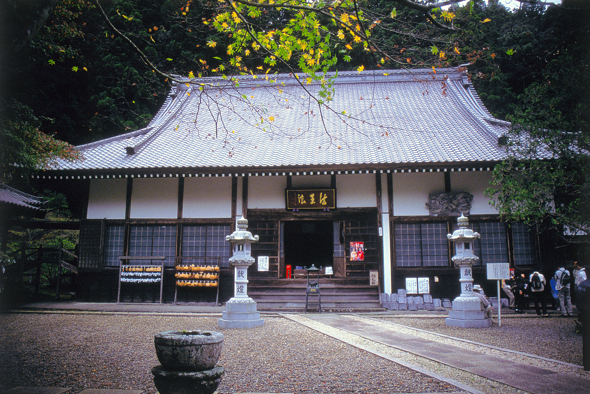 大洞院 静岡 浜松 伊豆情報局