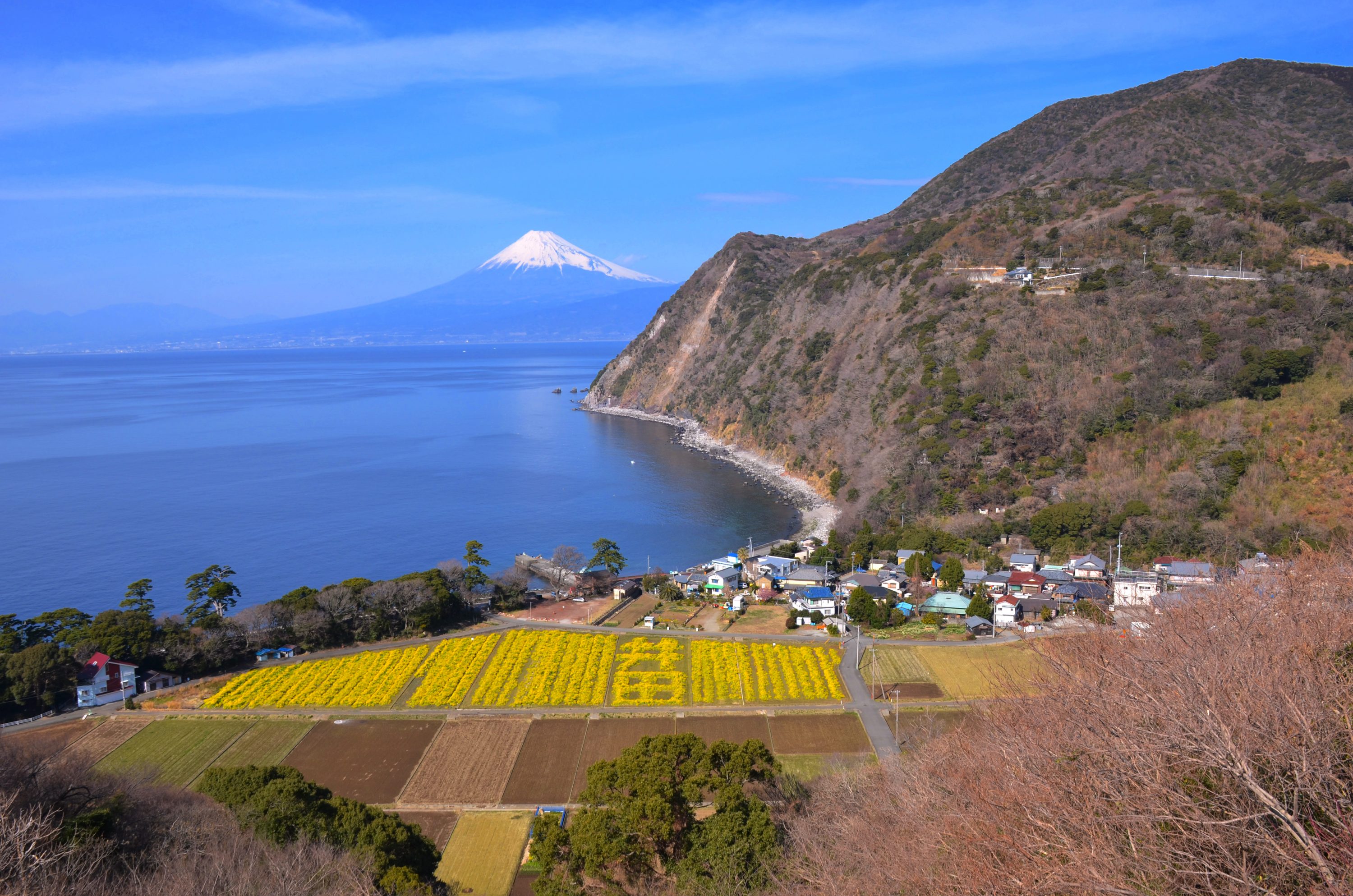 煌めきの丘 静岡 浜松 伊豆情報局