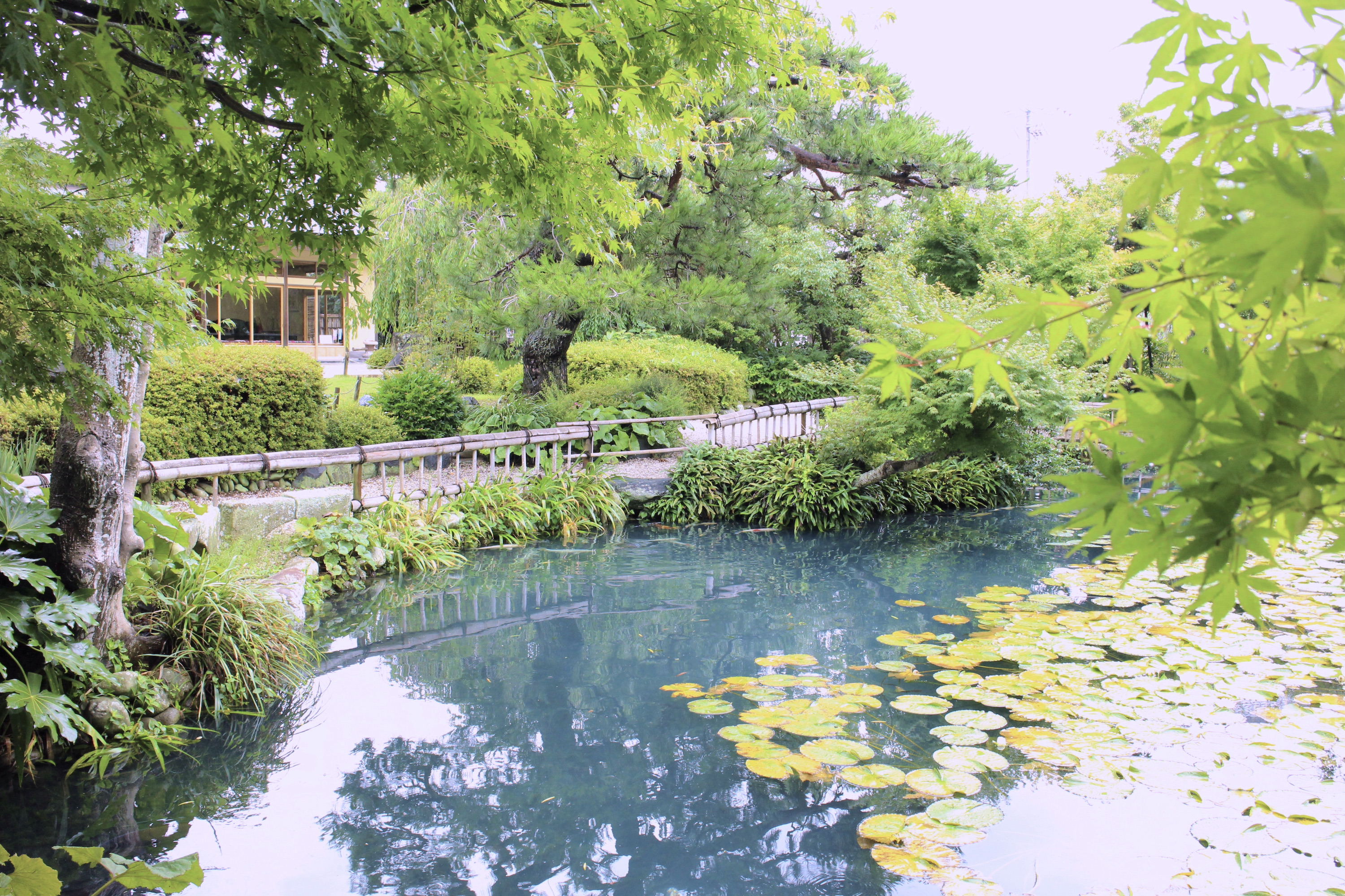 清水邸庭園 | 静岡・浜松・伊豆情報局