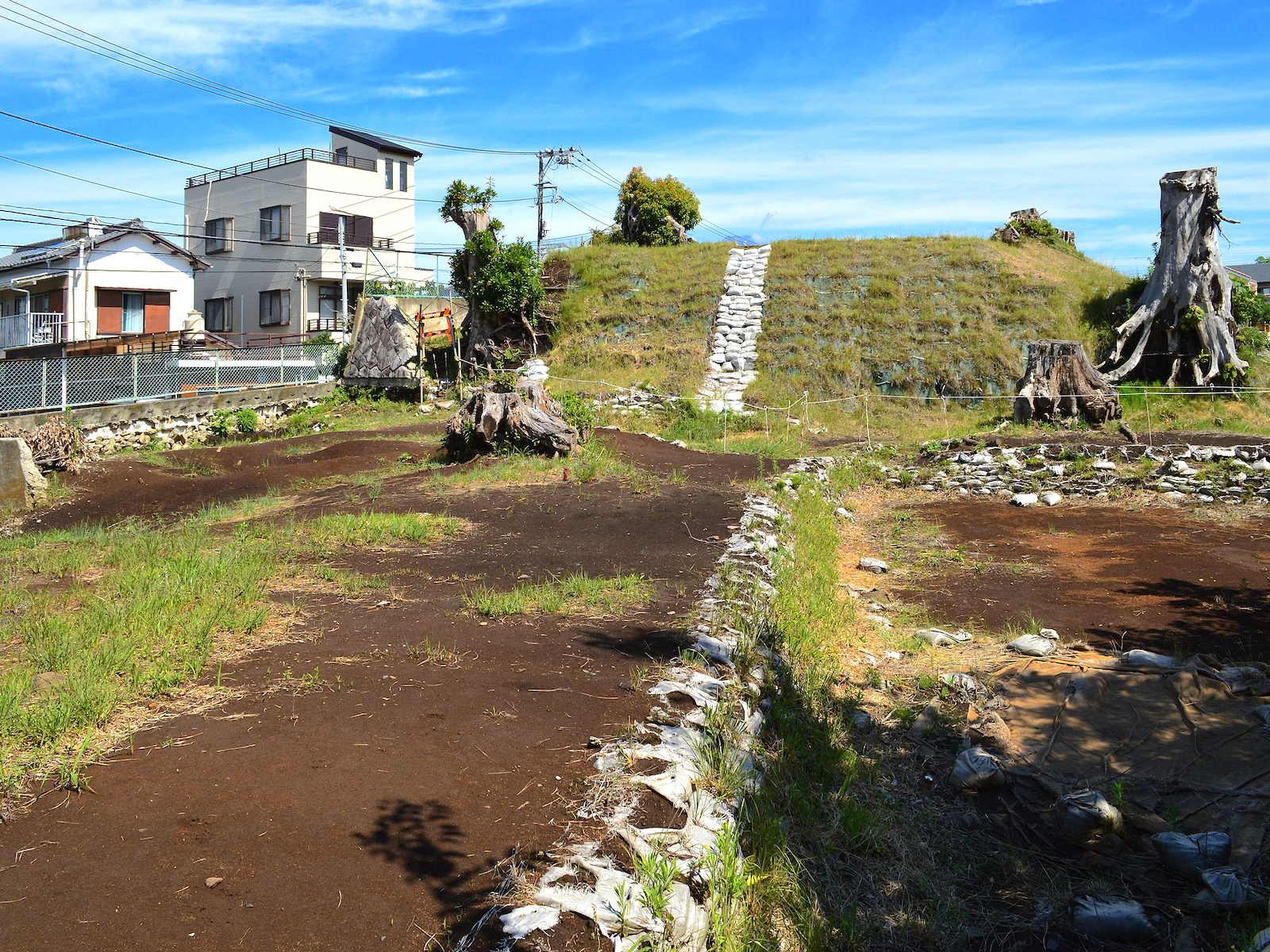 高天原(邪馬台国)と天孫降臨 : 丹波の古代史 焼畑から稲作へ 高天原(邪馬台国)と天孫降臨 丹波の古代史焼畑から稲作へ