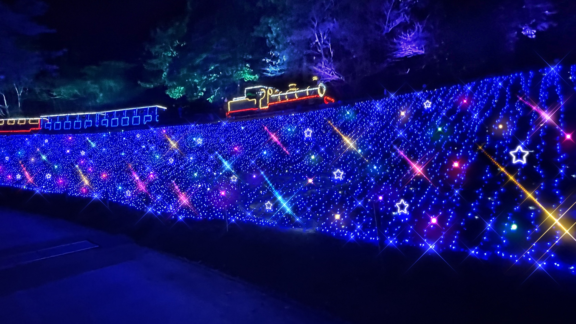 修善寺虹の郷で『虹の郷イルミtheナイト2025』 | 静岡・浜松・伊豆情報局